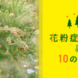 花粉症の原因と10の対策 | 東京上野のWeb制作会社LIG